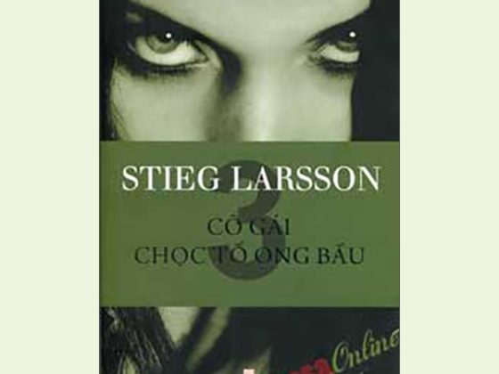 Cô Gái Chọc Tổ Ong Bầu PDF