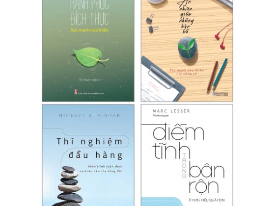 Combo Sách Thí Nghiệm Đầu Hàng Điềm Tĩnh Trong Bận Rộn Hạnh Phúc Đích Thực An Nhiên Giữa Những Bộn Bề PDF