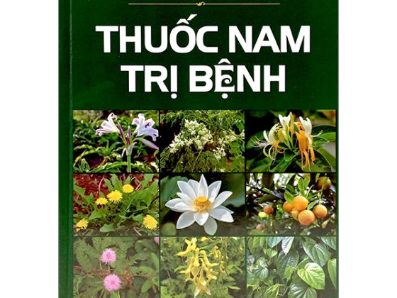 Thuốc Nam Trị Bệnh - Bìa Cứng PDF