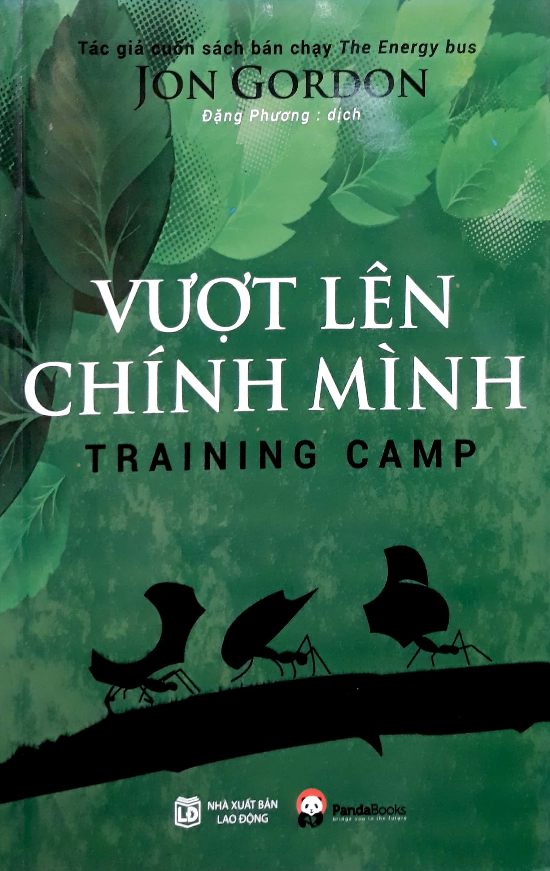Vượt Lên Chính Mình PDF Vượt Lên Chính Mình PDF