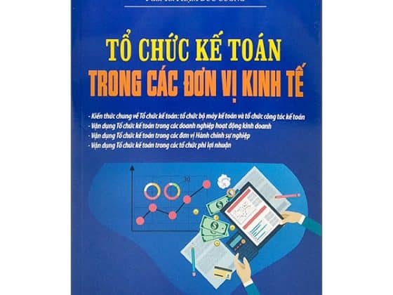 Tổ Chức Kế Toán Trong Các Đơn Vị Kinh Tế PDF