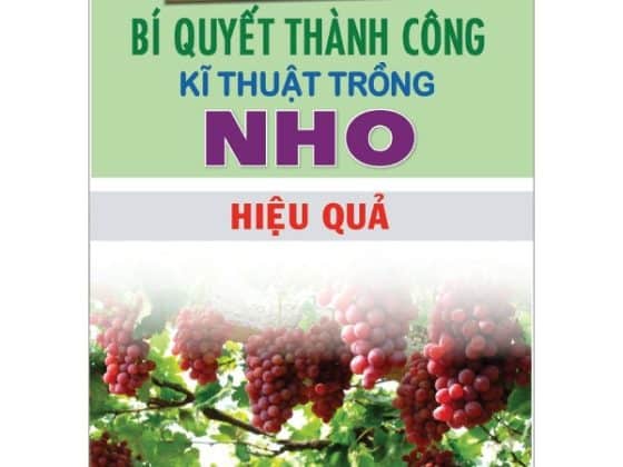 Bí Quyết Thành Công Kĩ Thuật Trồng Nho Hiệu Quả PDF