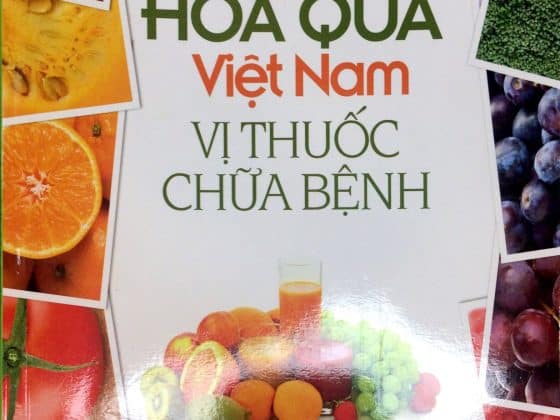 Hoa Quả Việt Nam Vị Thuốc Chữa Bệnh PDF