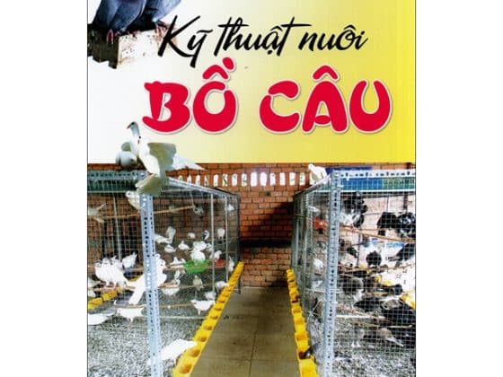 Kỹ Thuật Nuôi Bồ Câu PDF