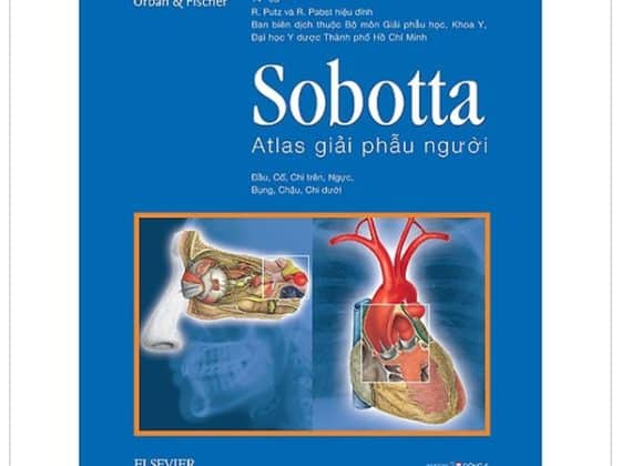 Sobotta Atlas Giải Phẫu Người PDF