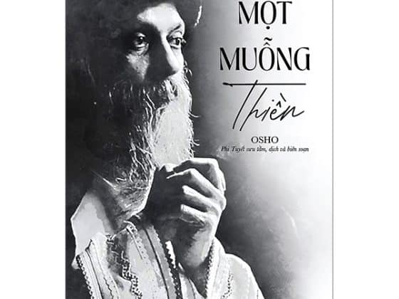 Một Muỗng Thiền PDF
