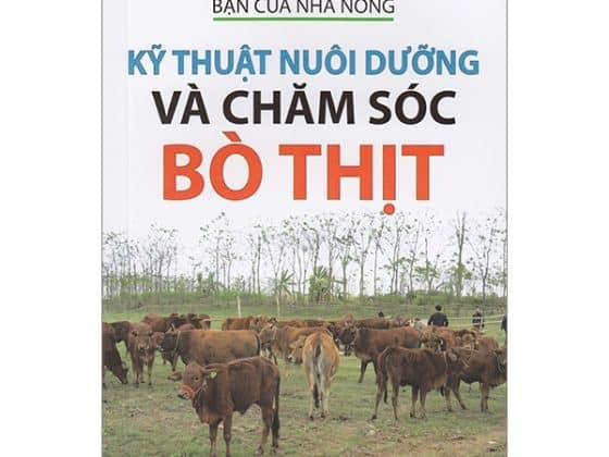 Bạn Của Nhà Nông - Kỹ Thuật Nuôi Dưỡng Và Chăm Sóc Bò Thịt PDF