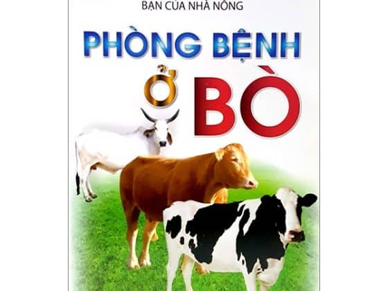 Bạn Của Nhà Nông - Phòng Bệnh Ở Bò PDF