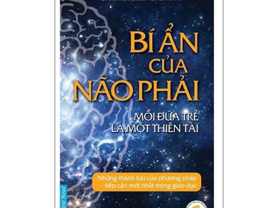 Bí Ẩn Của Não Phải PDF