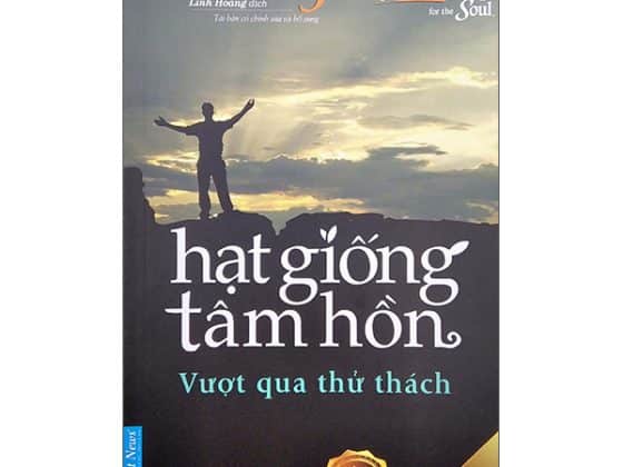 Bộ Hạt Giống Tâm Hồn - Tập 9: Vượt Qua Thử Thách PDF