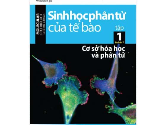 Bộ Sinh Học Phân Tử Của Tế Bào 01 - Cơ Sở Hoá Học Và Phân Tử PDF