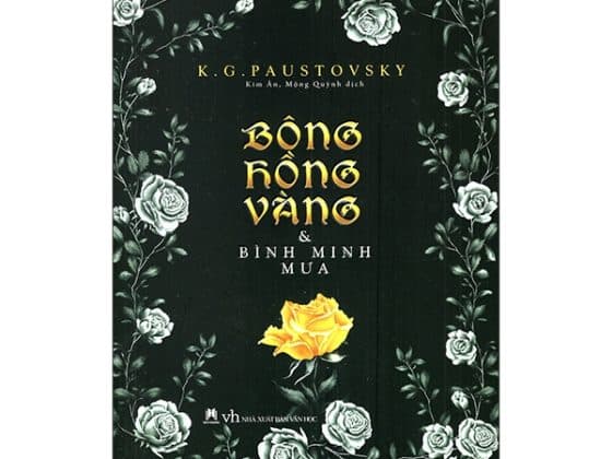 Bông Hồng Vàng & Bình Minh Mưa 2017 PDF