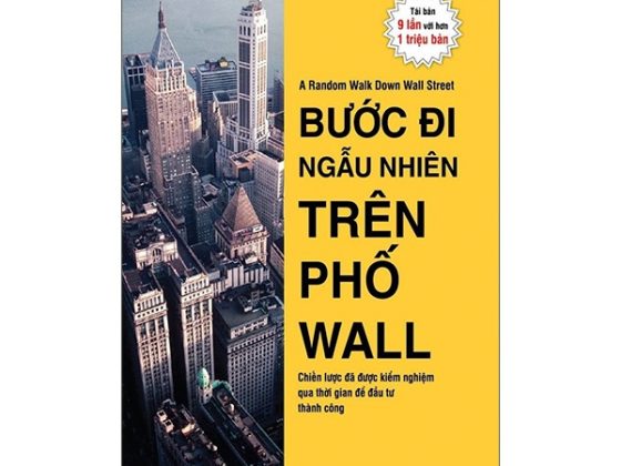 Bước Đi Ngẫu Nhiên Trên Phố Wall PDF