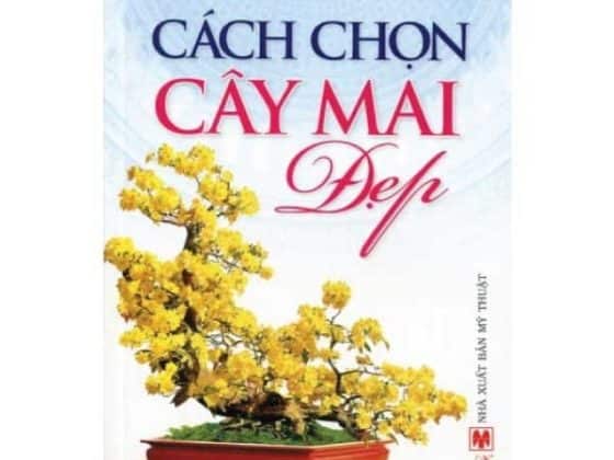Cách Chọn Cây Mai Đẹp PDF