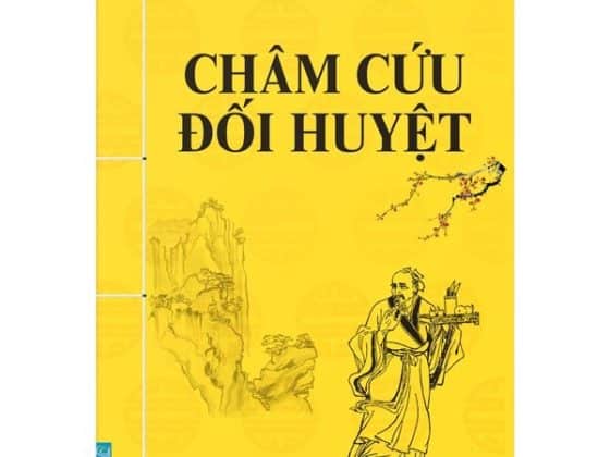 Châm Cứu Đối Huyệt PDF