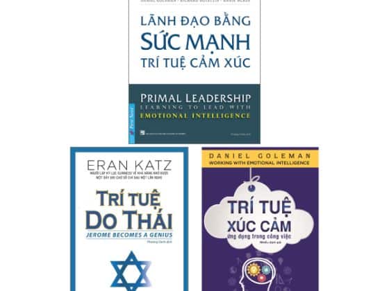 Combo Sách Trí Tuệ Xúc Cảm Ứng Dụng Trong Công Việc Lãnh Đạo Bằng Sức Mạnh Trí Tuệ Cảm Xúc Trí Tuệ Do Thái PDF