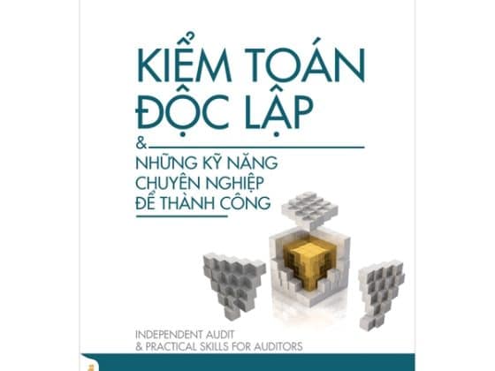 Kiểm Toán Độc Lập & Những Kỹ Năng Chuyên Nghiệp Để Thành Công PDF