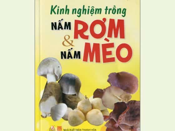 Kinh Nghiệm Trồng Nấm Rơm Và Nấm Mèo PDF