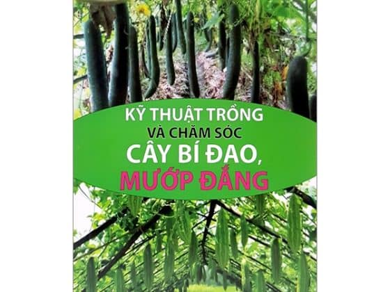 Kỹ Thuật Trồng Và Chăm Sóc Cây Bí Đao, Mướp Đắng PDF