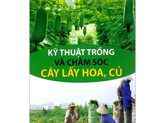 Kỹ Thuật Trồng Và Chăm Sóc Cây Lấy Hoa, Củ PDF