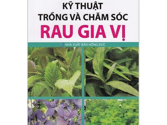 Kỹ Thuật Trồng Và Chăm Sóc Rau Gia Vị PDF