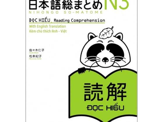 Luyện Thi Năng Lực Nhật Ngữ N3 - Đọc Hiểu PDF
