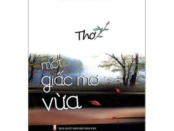 Một Giấc Mơ Vừa PDF