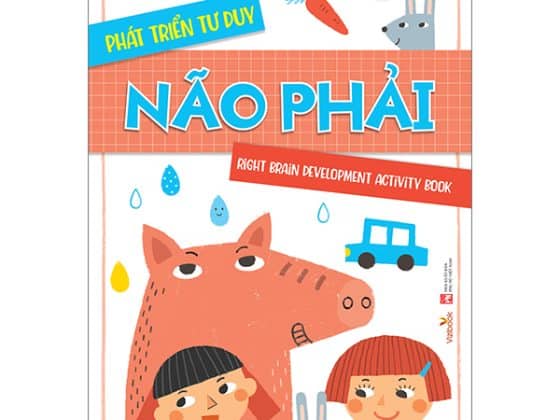 Phát Triển Tư Duy Não Phải PDF