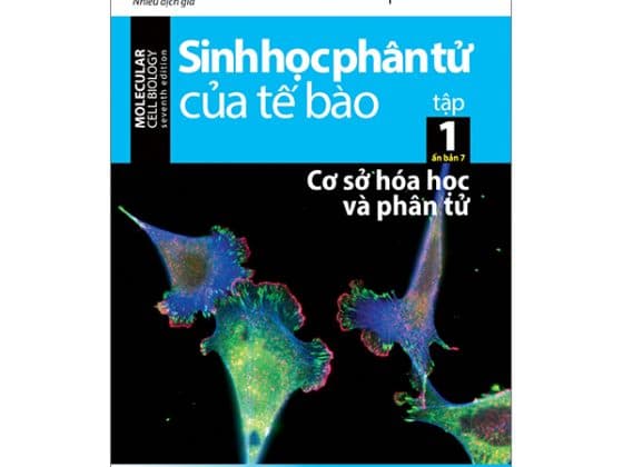 Sinh Học Phân Tử Của Tế Bào - Tập 1 - Cơ Sở Hoá Học Và Phân Tử 2024 PDF