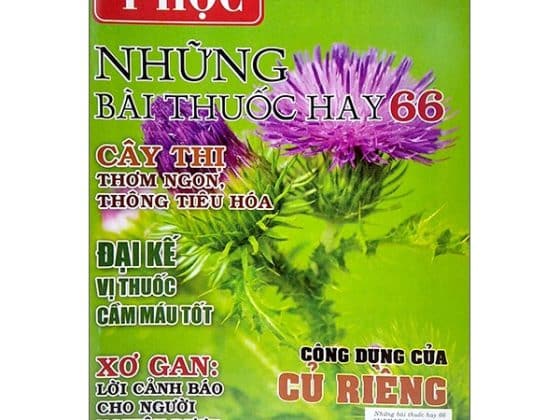 Bộ Sổ Tay Y Học - Những Bài Thuốc Hay 66 PDF