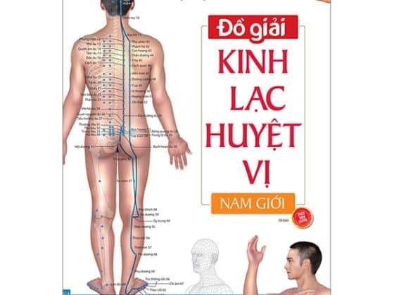 Đồ Giải Kinh Lạc Huyệt Vị - Nam Giới 2023 PDF