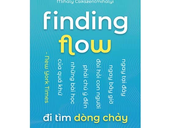 Finding Flow - Đi Tìm Dòng Chảy PDF