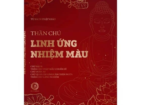 Thần Chú Linh Ứng Nhiệm Màu PDF