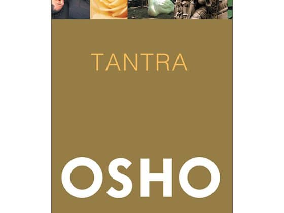Tantra - Con Đường Của Sự Chấp Nhận 2025 PDF