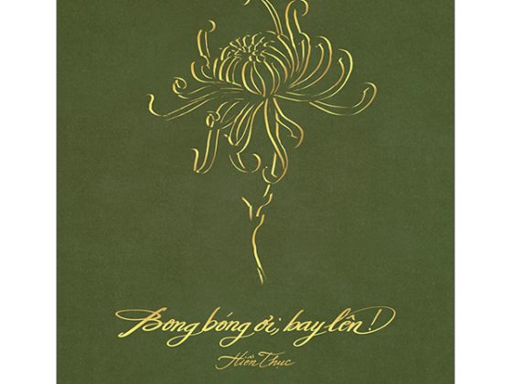 Bong Bóng Ơi, Bay Lên! - Bìa Cứng PDF