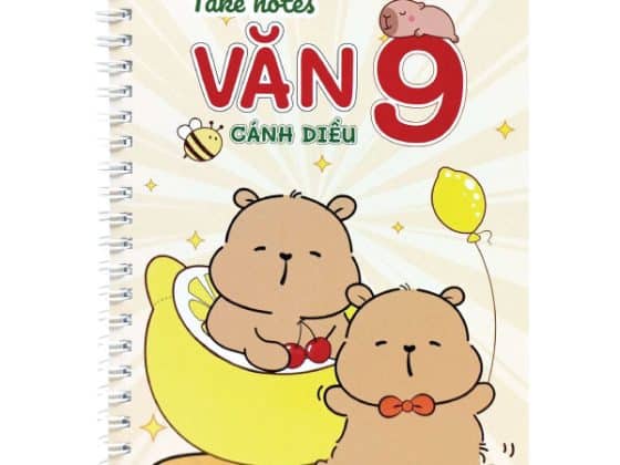 Take Notes - Văn 9 Cánh Diều PDF