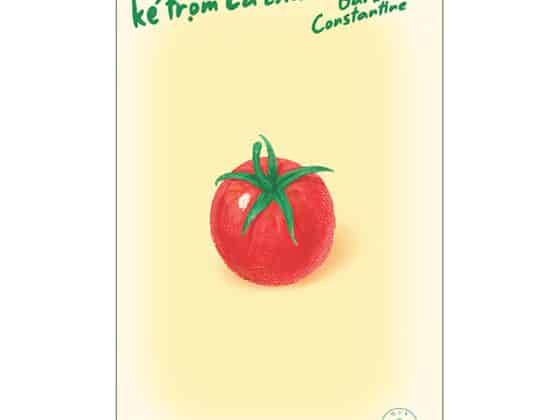 Kẻ Trộm Cà Chua PDF