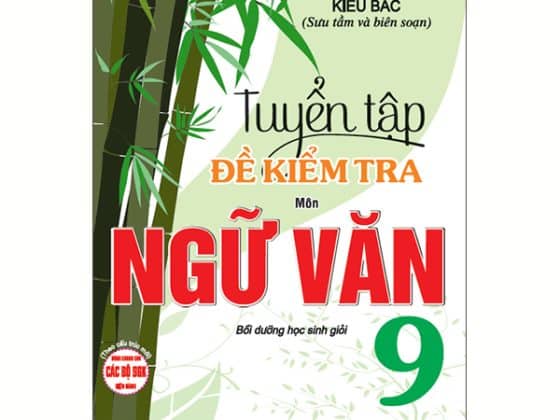 Tuyển Tập Đề Kiểm Tra Môn Ngữ Văn 9 - Bồi Dưỡng Học Sinh Giỏi PDF